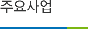 주요사업 